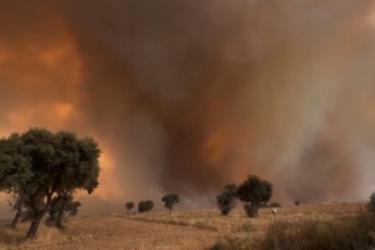 saberZneTis-italiis-safrangeTis-espaneTis-da-portugaliis-regionebSi-gangaSis-wiTeli-niSnuli-amoqmedda---evropis-qveynebSi-xanZrebs-ebrZvian