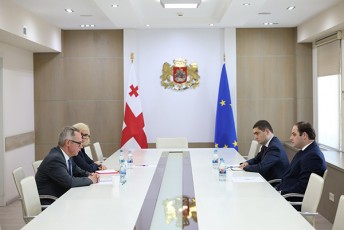 mTavrobis-administraciis-ufrosi-levan-JorJoliani-germaniis-elCs-saqarTveloSi-peter-fiSers-Sexvda
