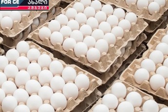 mewarmeebma-premieris-iniciativis-mxardaWera-da-Sesruleba-daiwyes---kvercxi-pirveli-gaiafebuli-produqtia