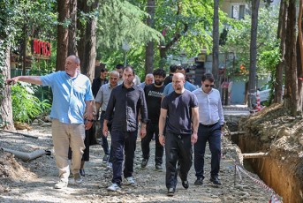 diRmis-masivSi-sagzao-infrastruqturis-reabilitacia-grZeldeba
