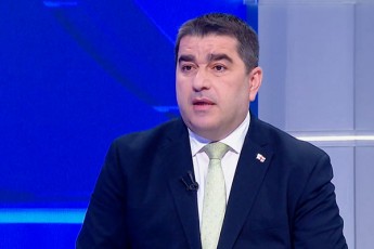 Salva-papuaSvili-mTavari-problema-aris-is-rom-evroparlamenti-da-PACE-ar-aRiarebs-saqarTvelos-suverenitets