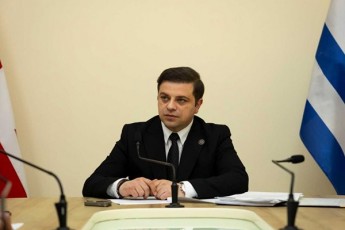 cotne-ananiZe-Cveni-istoria-suverenitetisTvis-dauRalavi-brZolis-qronikaa