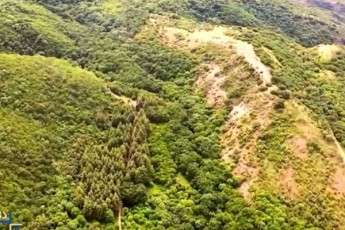 fondi-qarTus-mxardaWeriT-ganxorcielebuli-proeqti---Tbilisis-urbanuli-tye-dasrulebis-etapzea